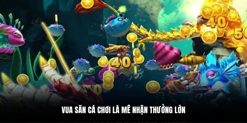 Vua săn cá chơi là mê nhận thưởng lớn