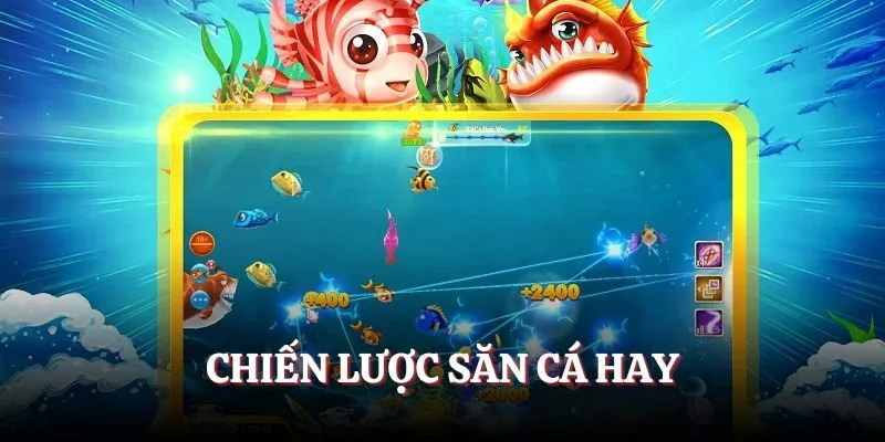 Chiến lược săn cá hay