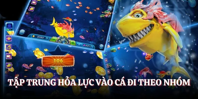 Tập trung hỏa lực vào cá đi theo nhóm