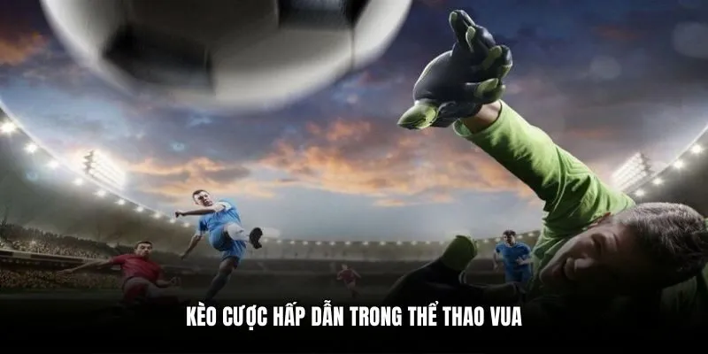 Kèo cược hấp dẫn trong thể thao vua