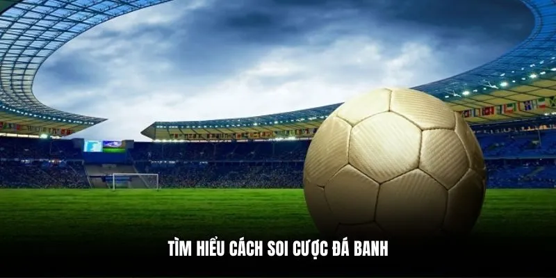 Tìm hiểu cách soi cược đá banh